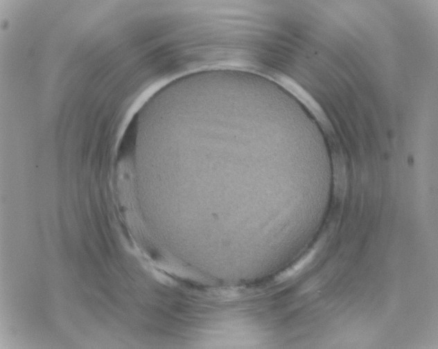 X0000070350956200607072035