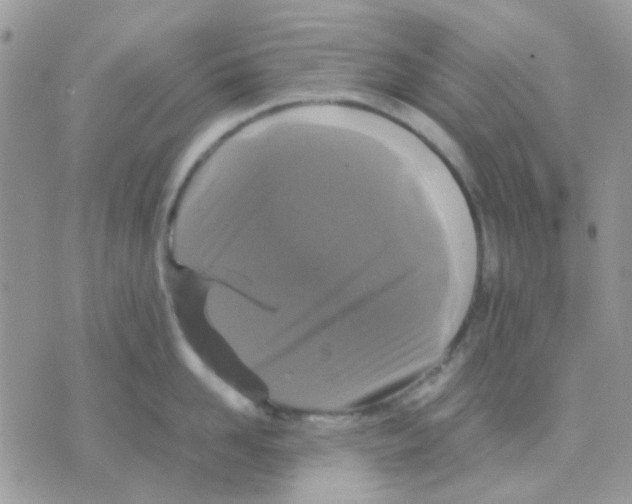 X0000070350958200607072035