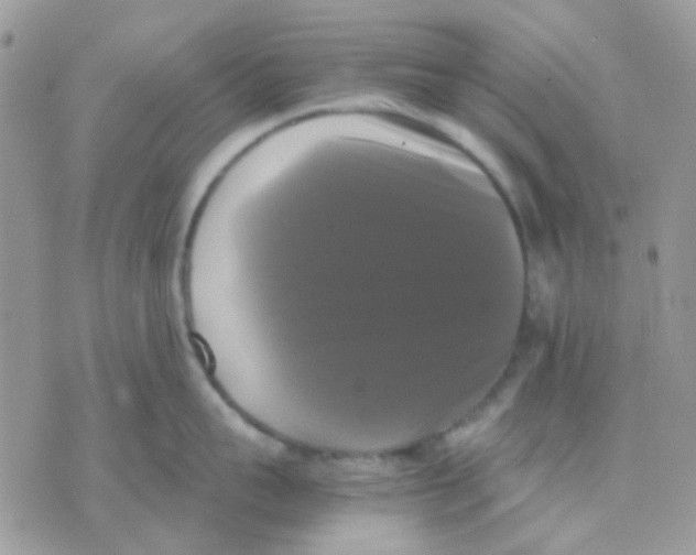 X0000070350959200607072035