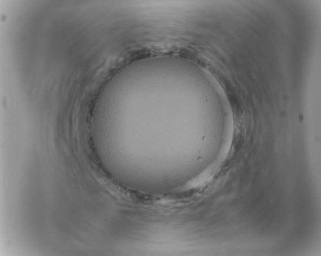 X0000070350961200607072034