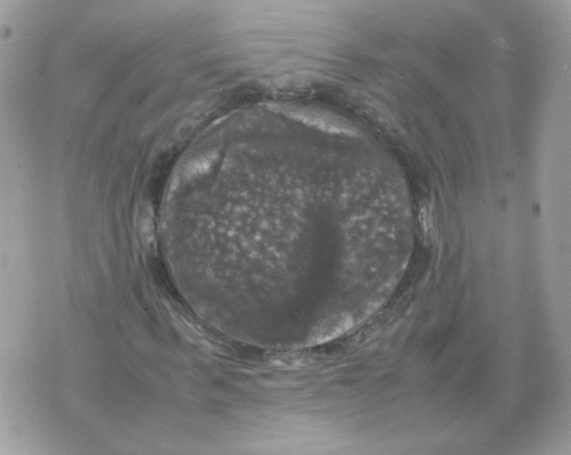 X0000070350963200607072034