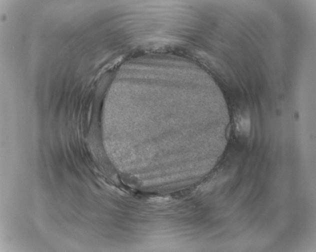 X0000070350964200607072034