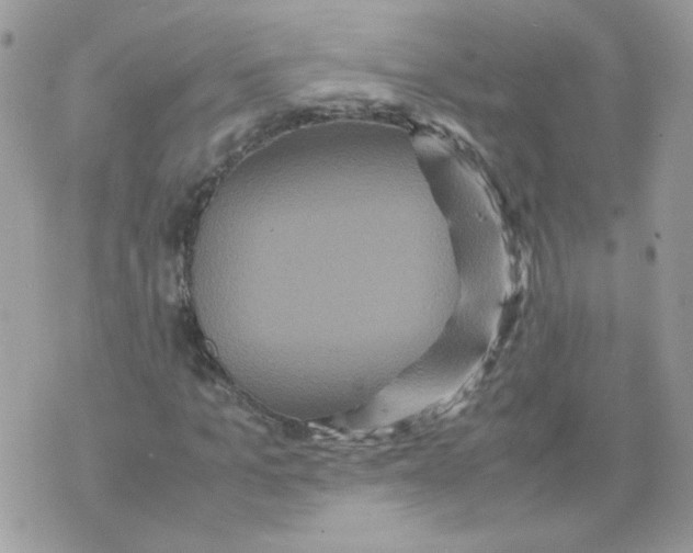 X0000070350965200607072034