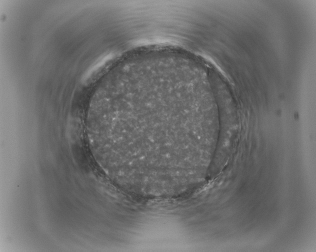 X0000070350967200607072034