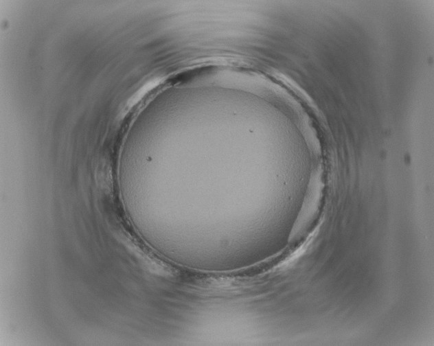 X0000070350969200607072034