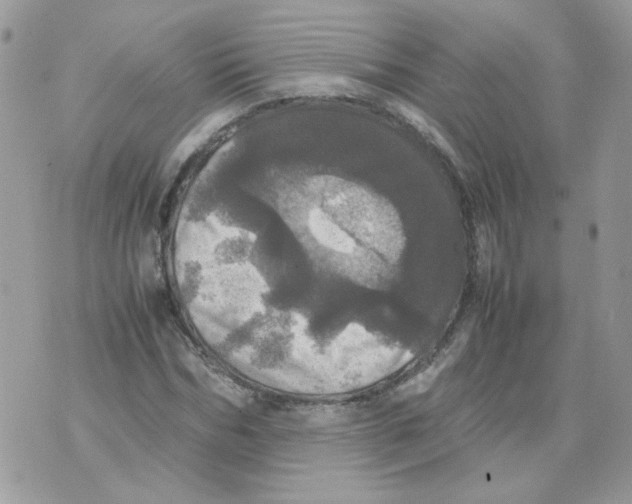 X0000070350970200607072034