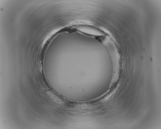 X0000070350973200607072034