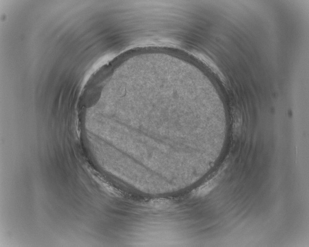 X0000070350974200607072034