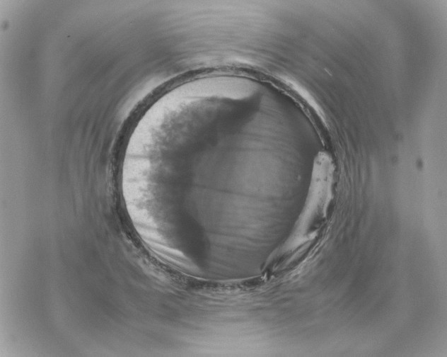 X0000070350975200607072034