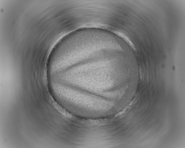 X0000070350976200607072034