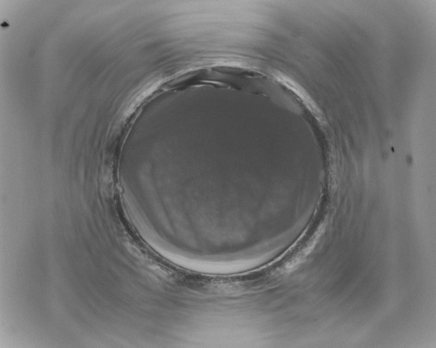 X0000070350977200607072034