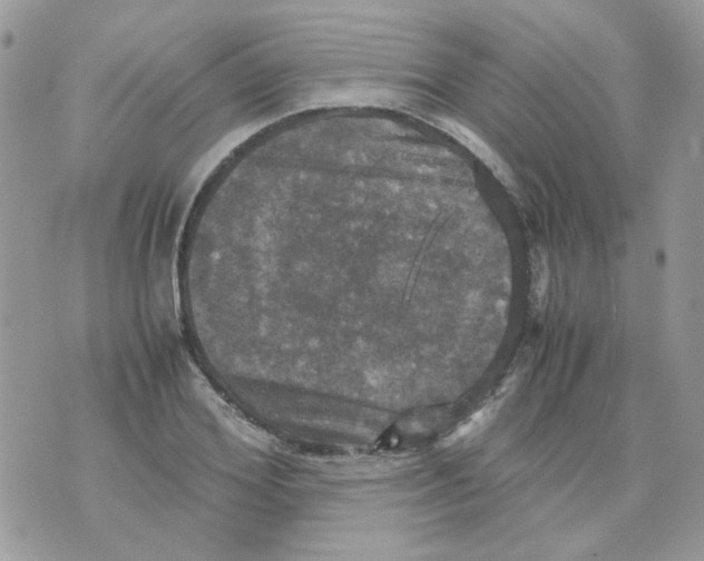 X0000070350980200607072034