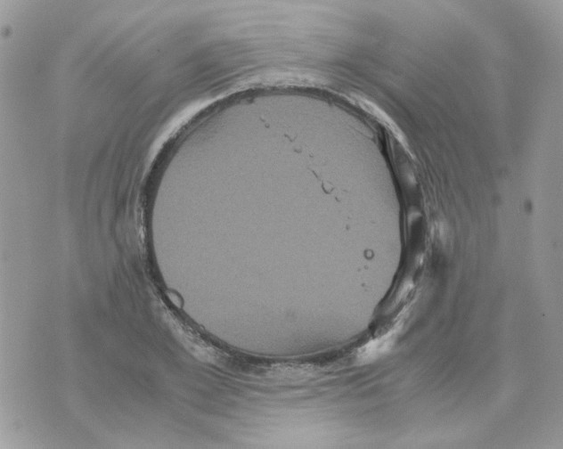 X0000070350981200607072034