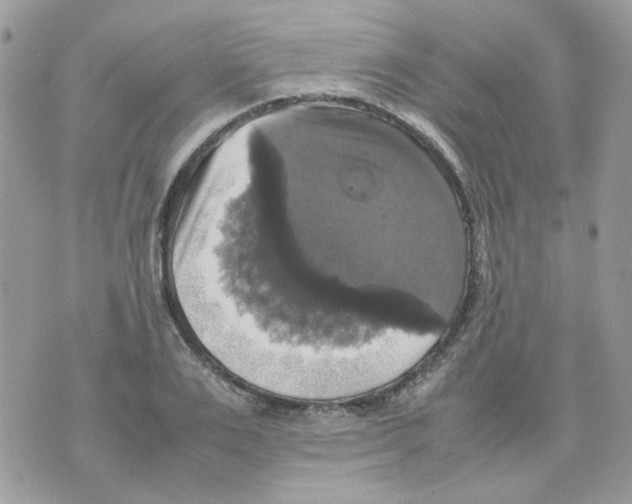 X0000070350983200607072034