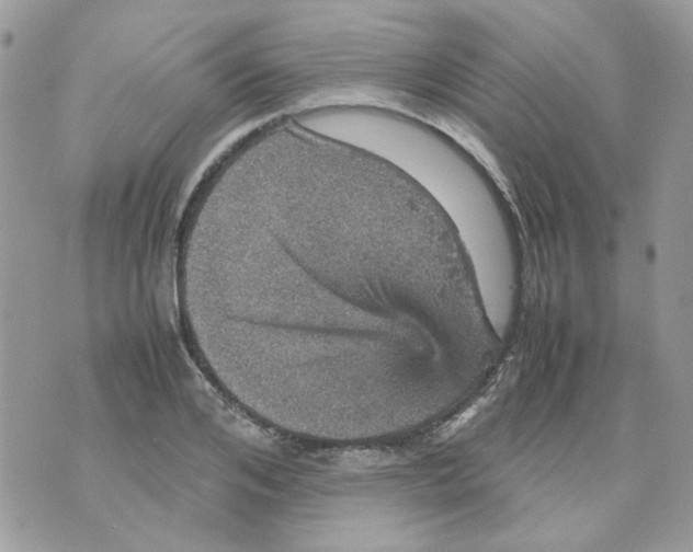 X0000070350984200607072034