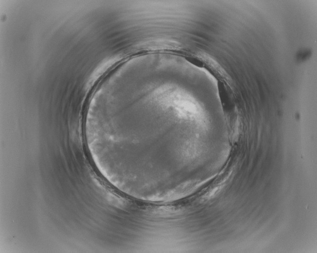 X0000070350986200607072034