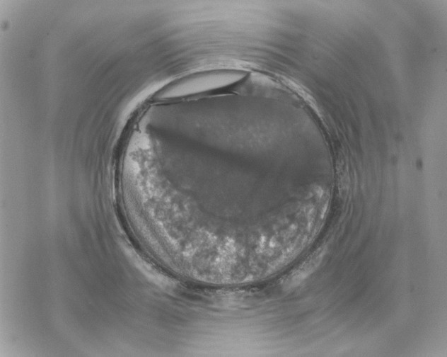 X0000070350987200607072034