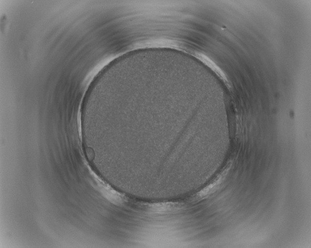 X0000070350988200607072034