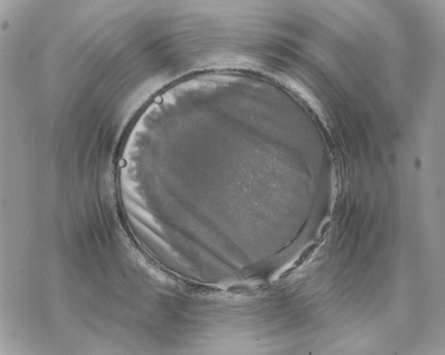 X0000070350990200607072034