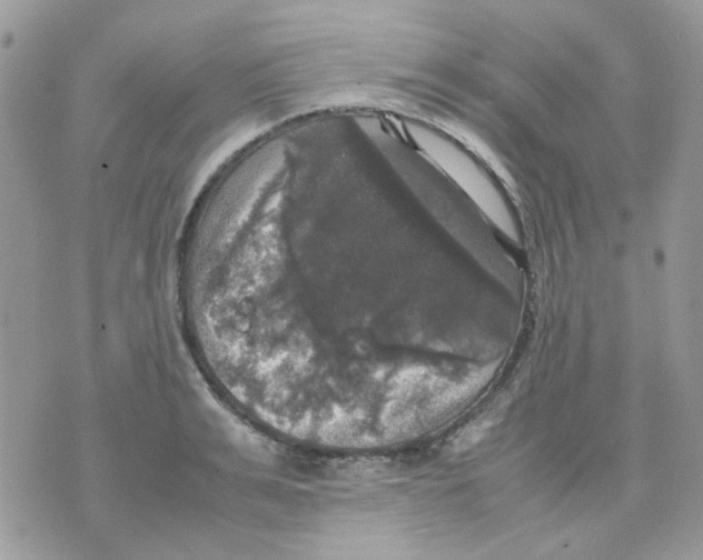 X0000070350991200607072034