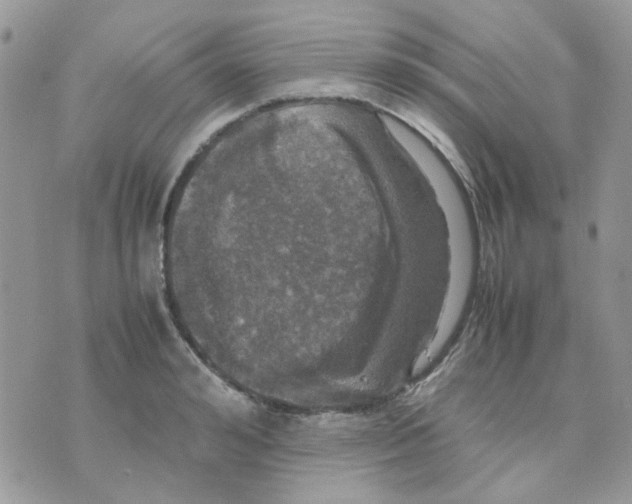 X0000070350992200607072034