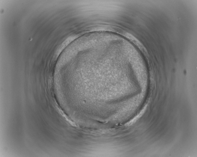 X0000070350993200607072033