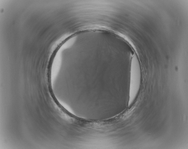 X0000070350995200607072033