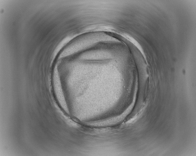 X0000070350997200607072033