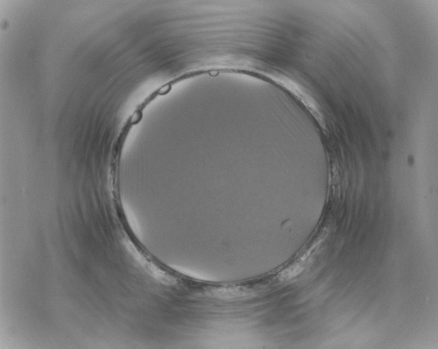 X0000070350998200607072033