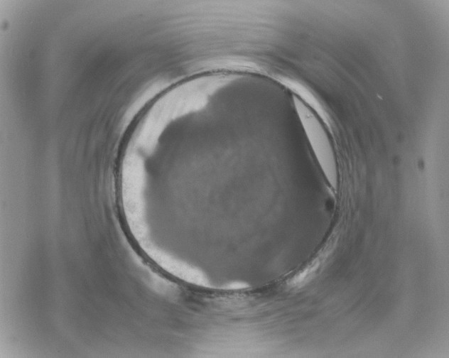 X0000070350999200607072033