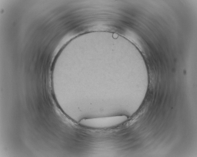 X0000070351000200607072033