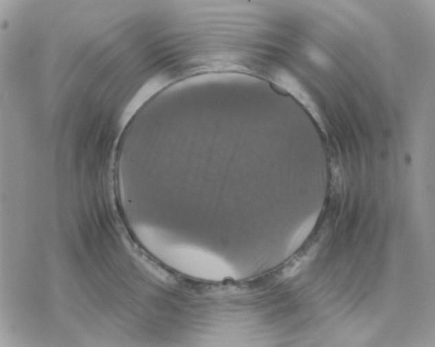 X0000070351002200607072033