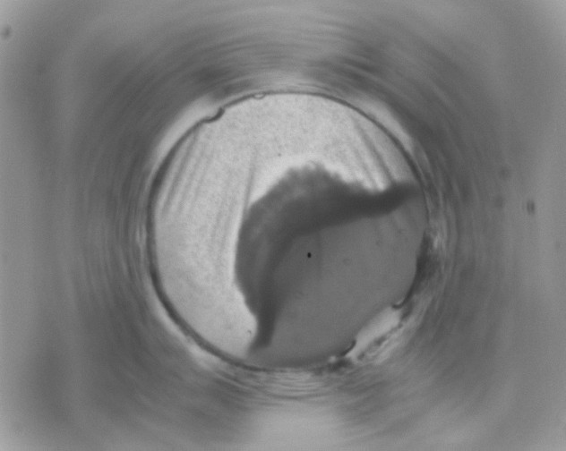 X0000070351007200607072033