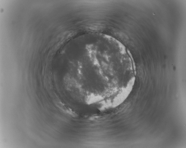 X0000070351009200607072032