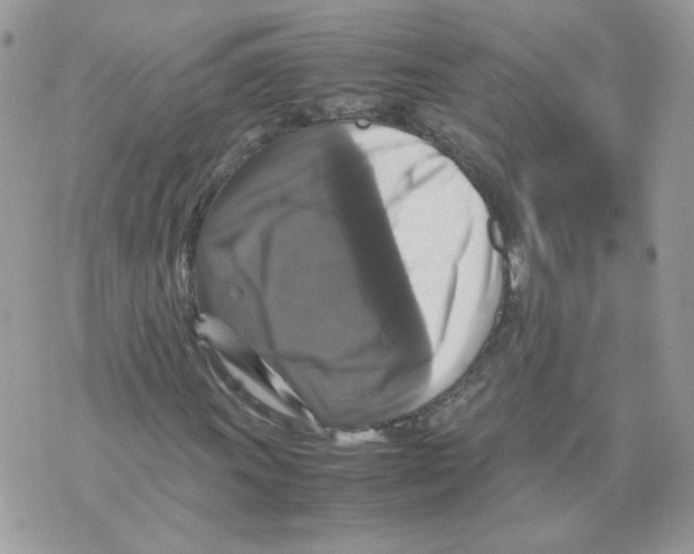 X0000070351011200607072032