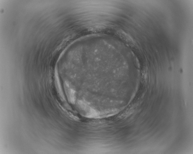 X0000070351012200607072033