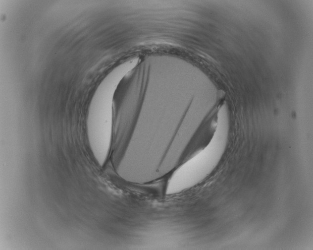 X0000070351014200607072033