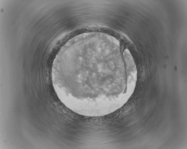 X0000070351016200607072033