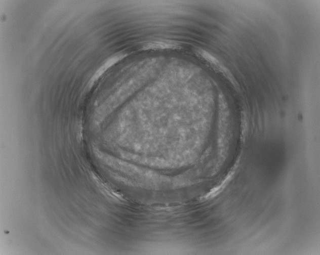 X0000070351017200607072033