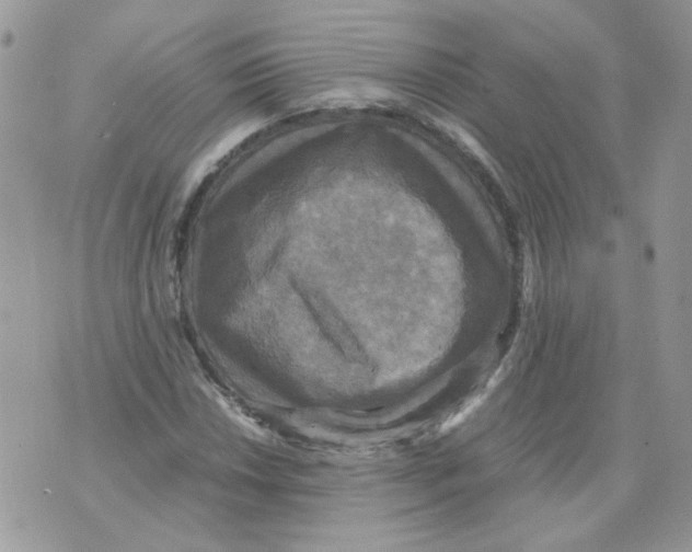 X0000070351018200607072033