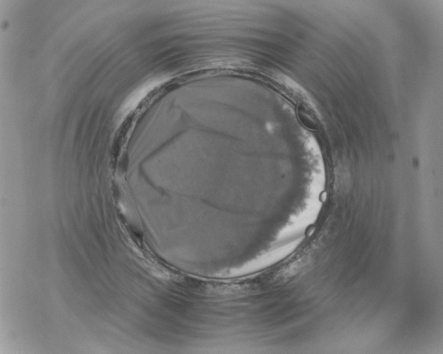 X0000070351019200607072033