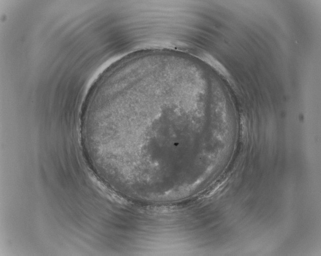 X0000070351020200607072033