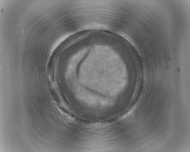 X0000070351022200607072033