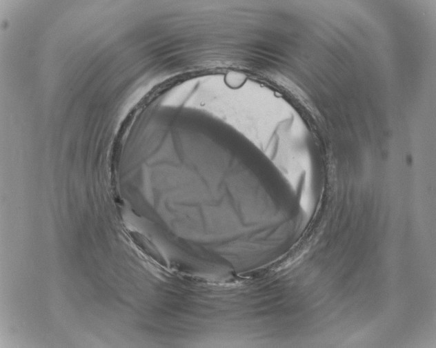 X0000070351023200607072033