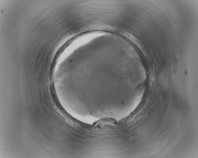 X0000070351024200607072033