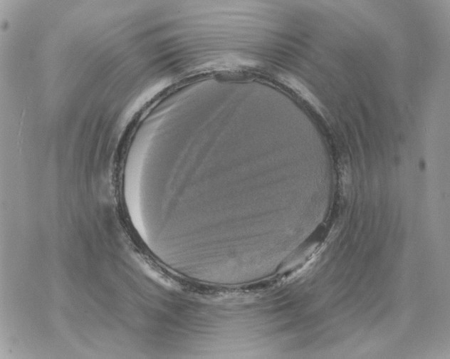 X0000070351026200607072033