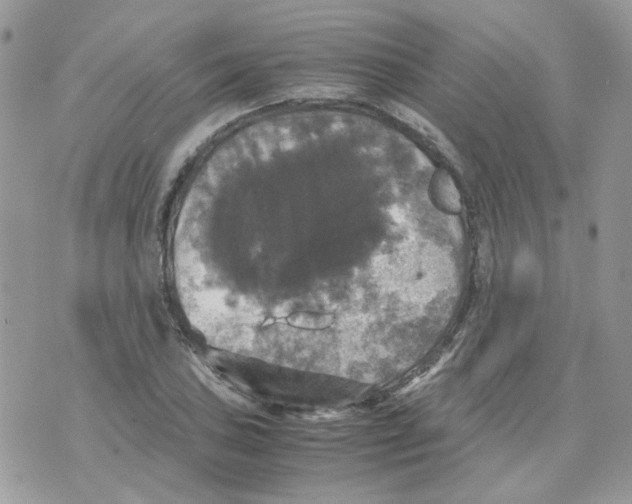 X0000070351027200607072033