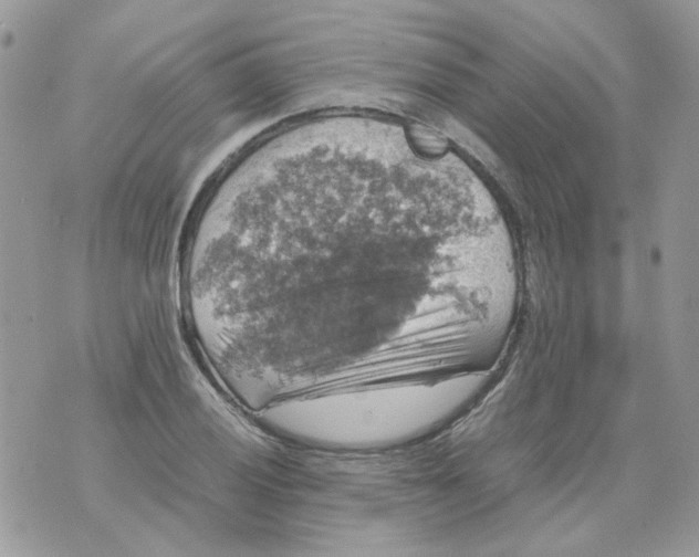 X0000070351028200607072033