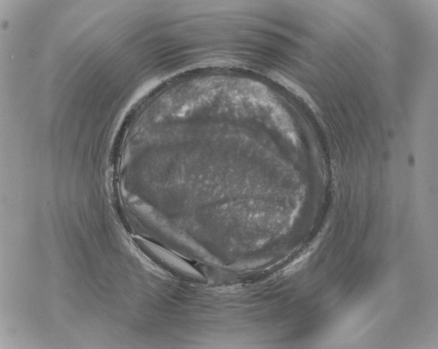 X0000070351029200607072033