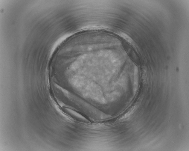 X0000070351030200607072033